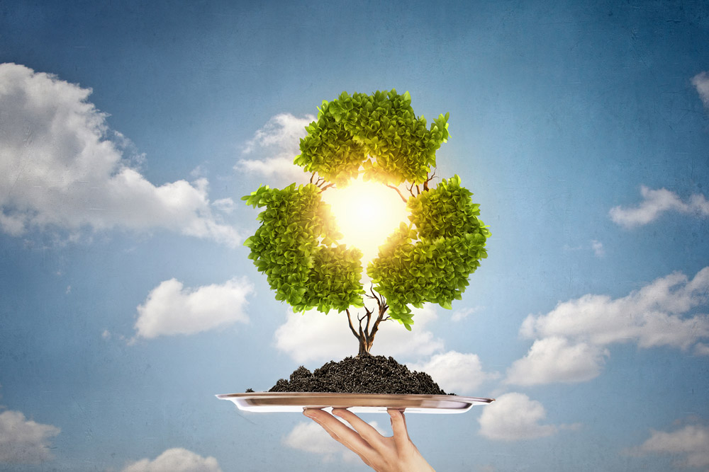 Environment Management and Recycling