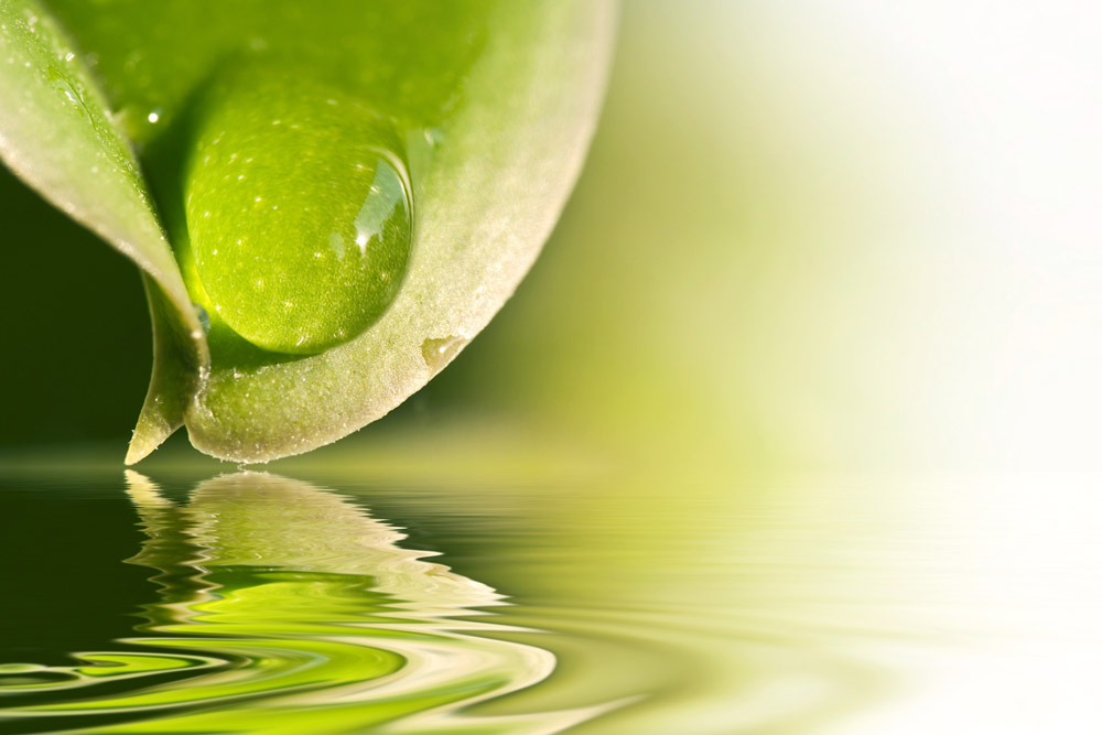 Social Responsibility